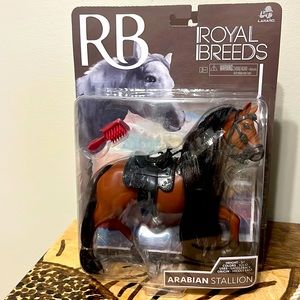 Royal breeds Arabian stallion